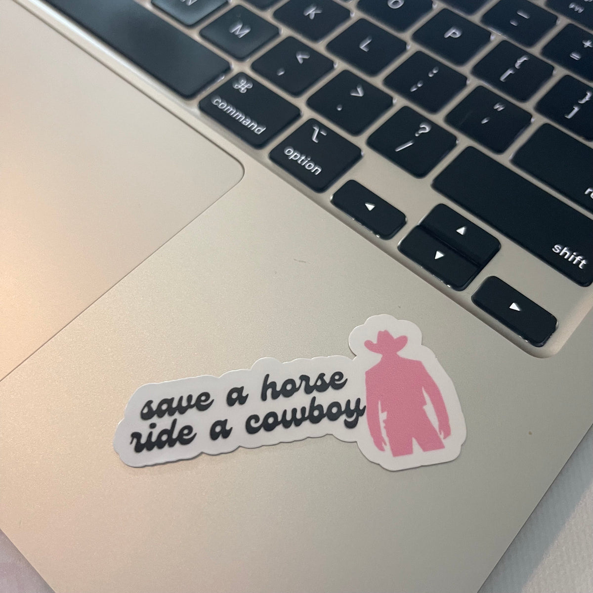 Cowboy romance man stickers, cowboy romance era, kindle, romance reader, save a horse, cowboy hat, water bottle, tumbler, bookish stickers