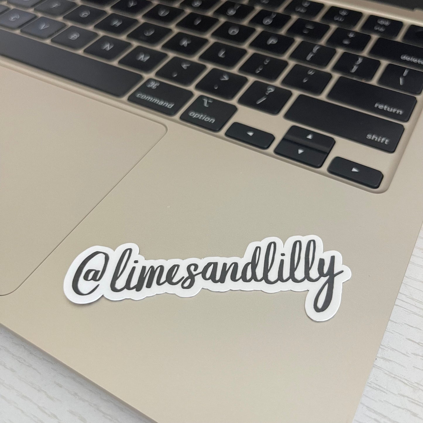 CUSTOM Kindle Handle Name Sticker, personalized bookish sticker, name sticker, booktok, personalized name handle, laptop, water bottle