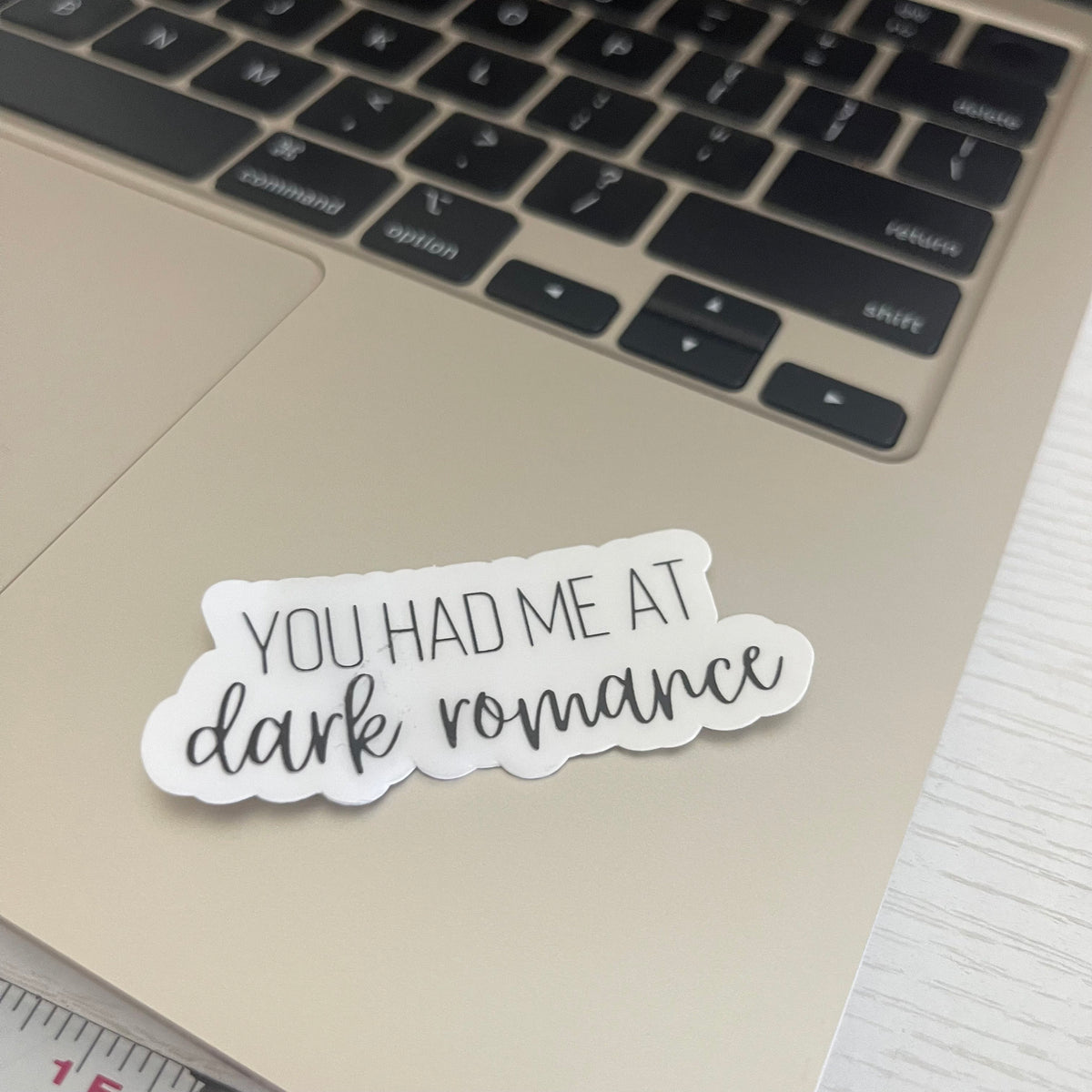 You had me at dark romance bookish sticker, book stickers, kindle, laptop, waterproof, romance, bookish sticker, sticker decal, Stanley cup