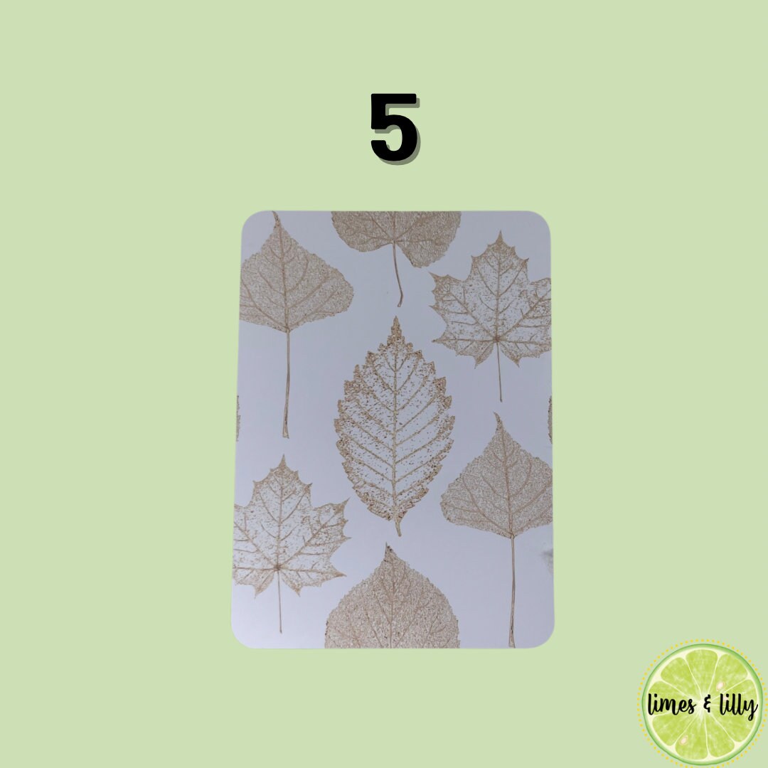 Kindle Insert for Clear Case | Fall Cozy Vibes | Cardstock Insert | Bookish Gift | Ereader | Kindle Accesories | Book Merch