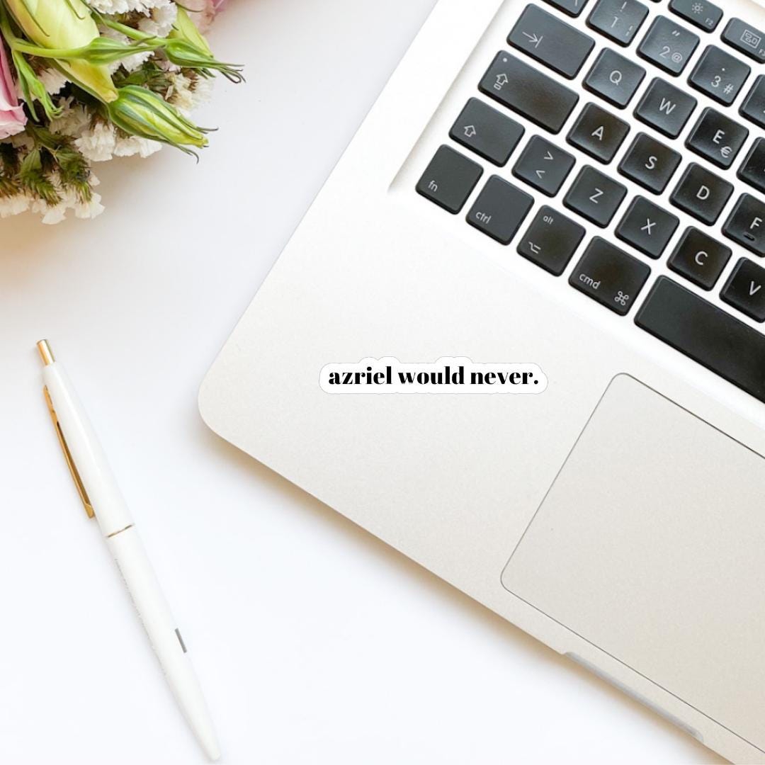 Azriel Would Never Book Boyfriend Sticker, ACOTAR, book inspired, bookish stickers, bat boys, decal, romantasy book merch, heart