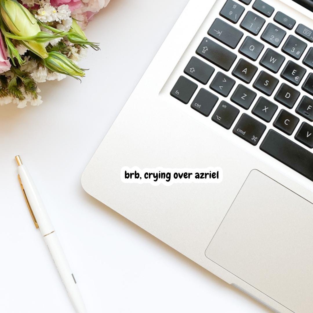 BRB, Crying Over Azriel Book Boyfriend Sticker, ACOTAR, book inspired, bookish stickers, bat boys, decal, romantasy book merch