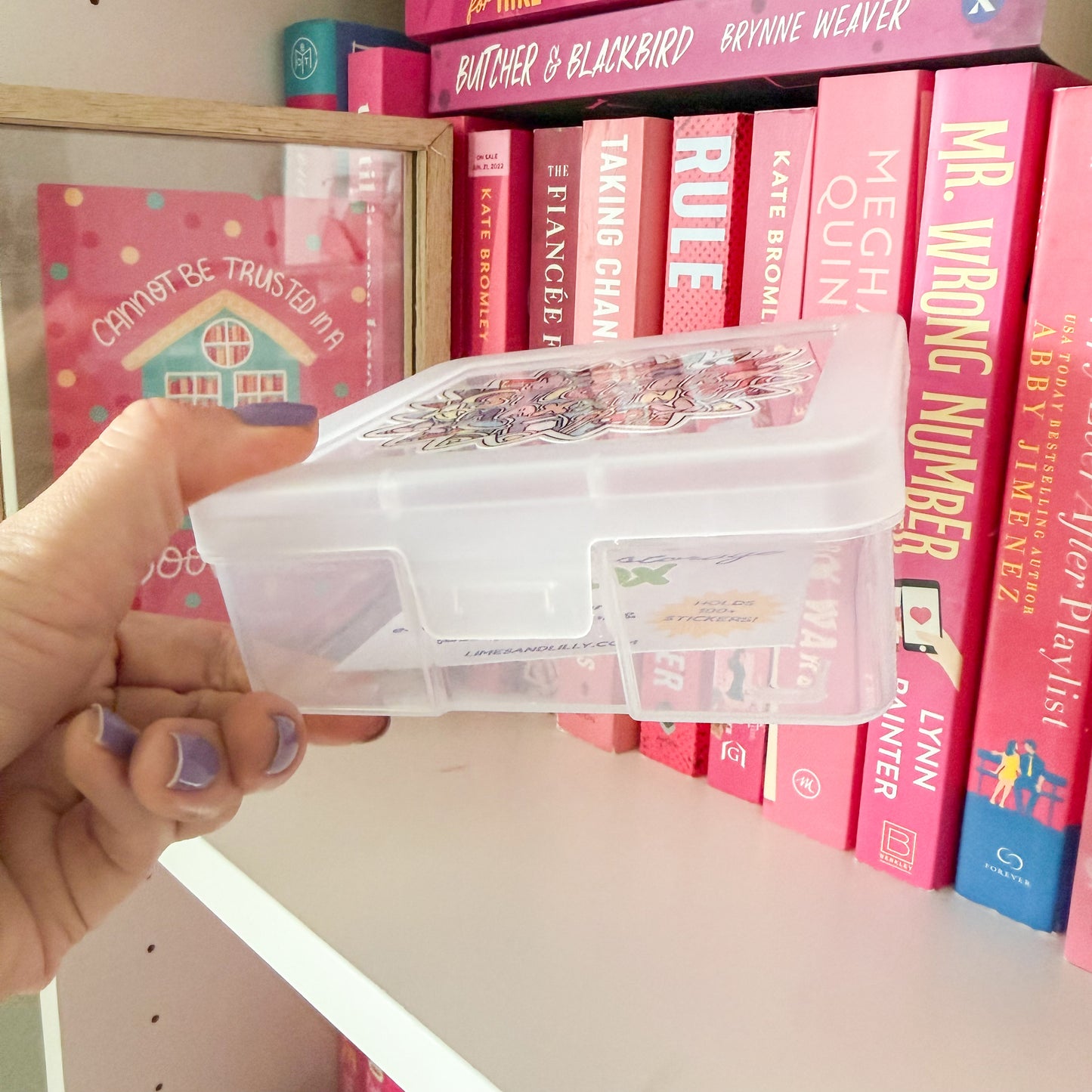 Sticker Storage Box – Sticker Maxxing Organizer