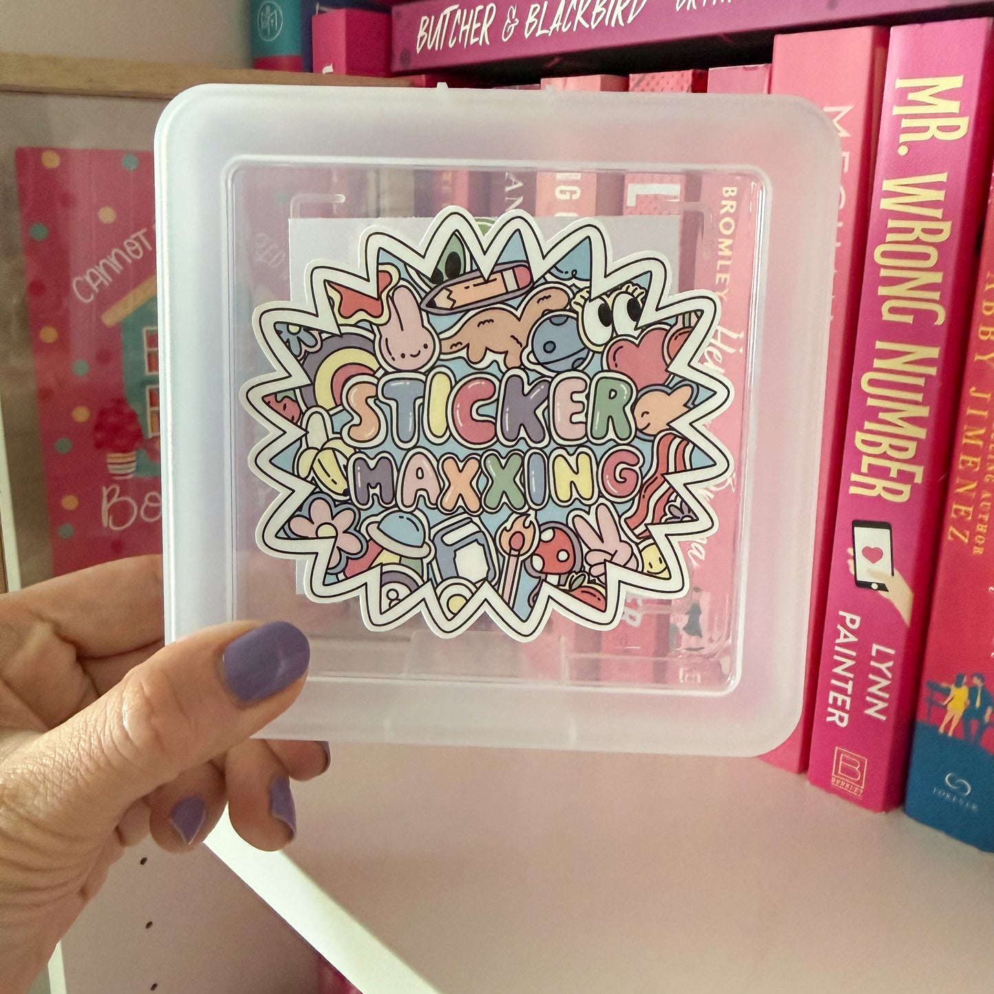 Sticker Storage Box – Sticker Maxxing Organizer