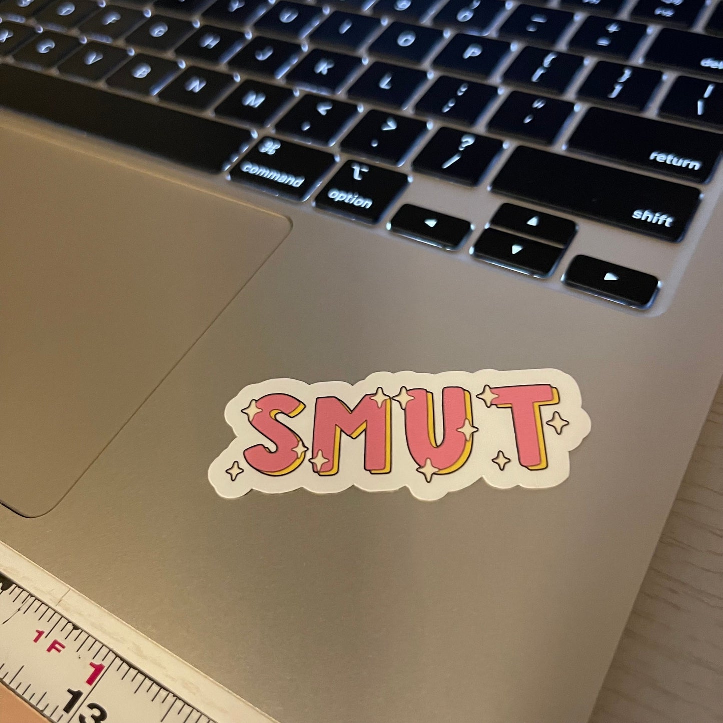Read SMUT spicy bookish stickers, dark romance, book stickers, kindle stickers, laptop, romance reader, booktok, smut stickers, smutty