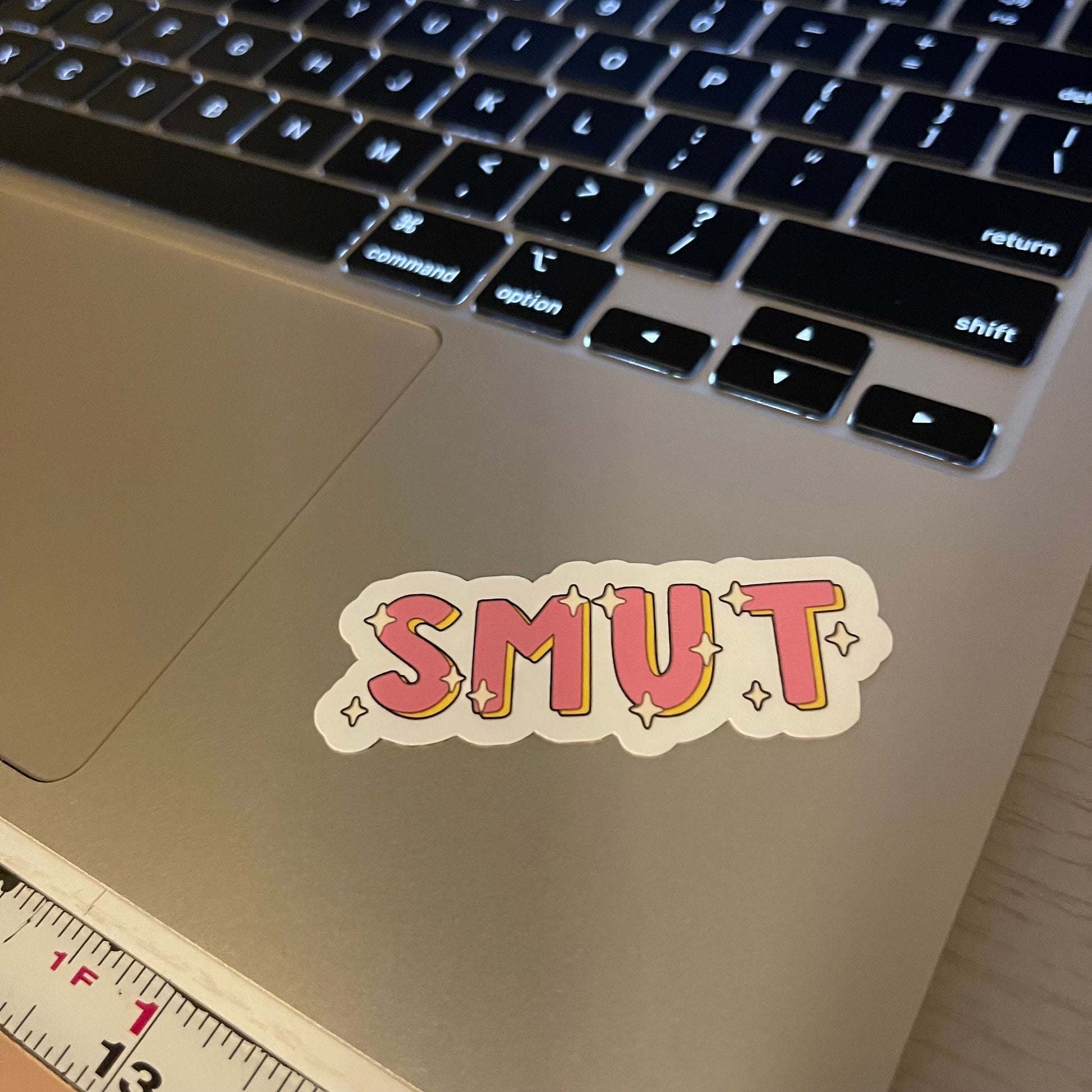 Read SMUT spicy bookish stickers, dark romance, book stickers, kindle stickers, laptop, romance reader, booktok, smut stickers, smutty