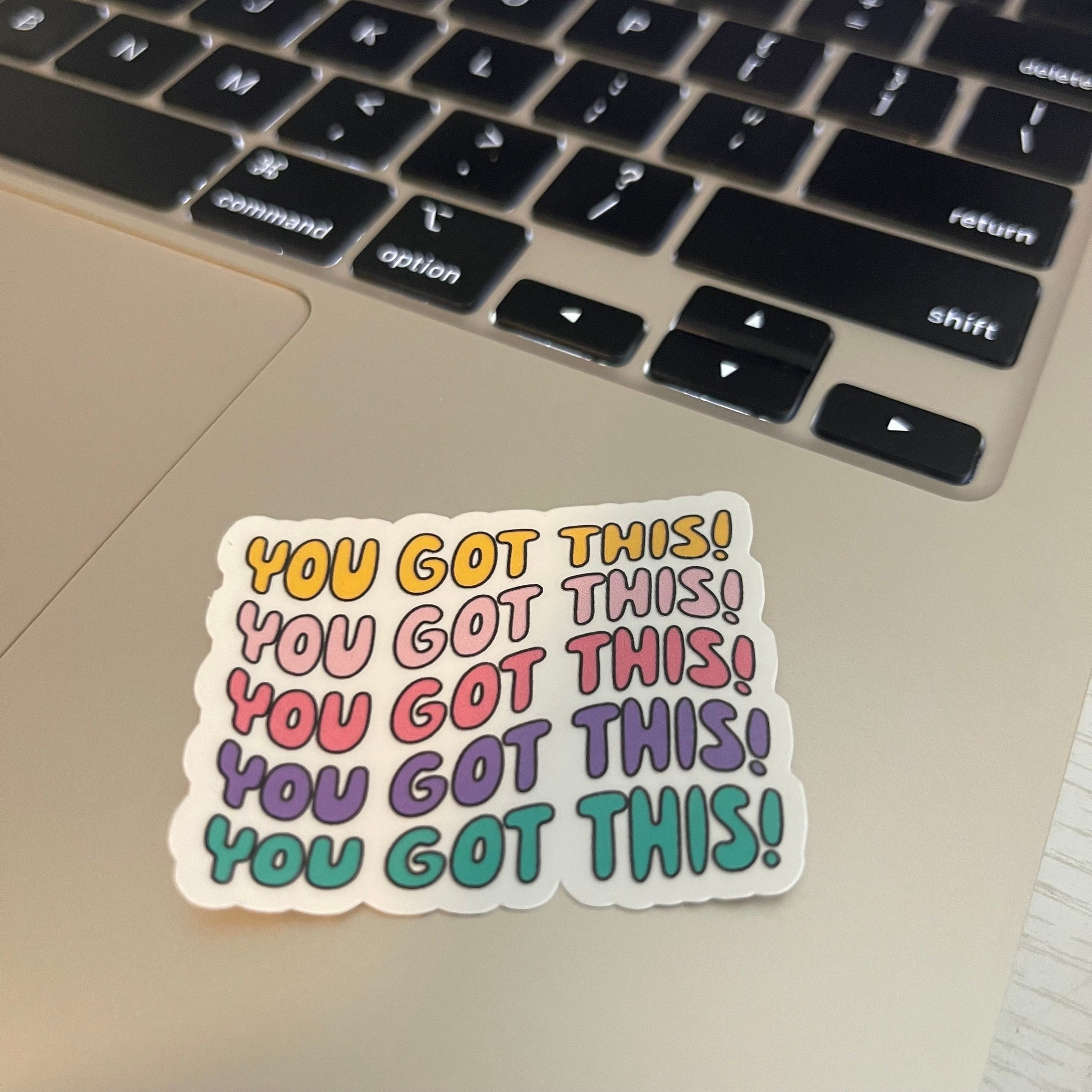 You got this sticker, mental health sticker, water bottle sticker, positive affirmation sticker, affirmation sticker, positivity