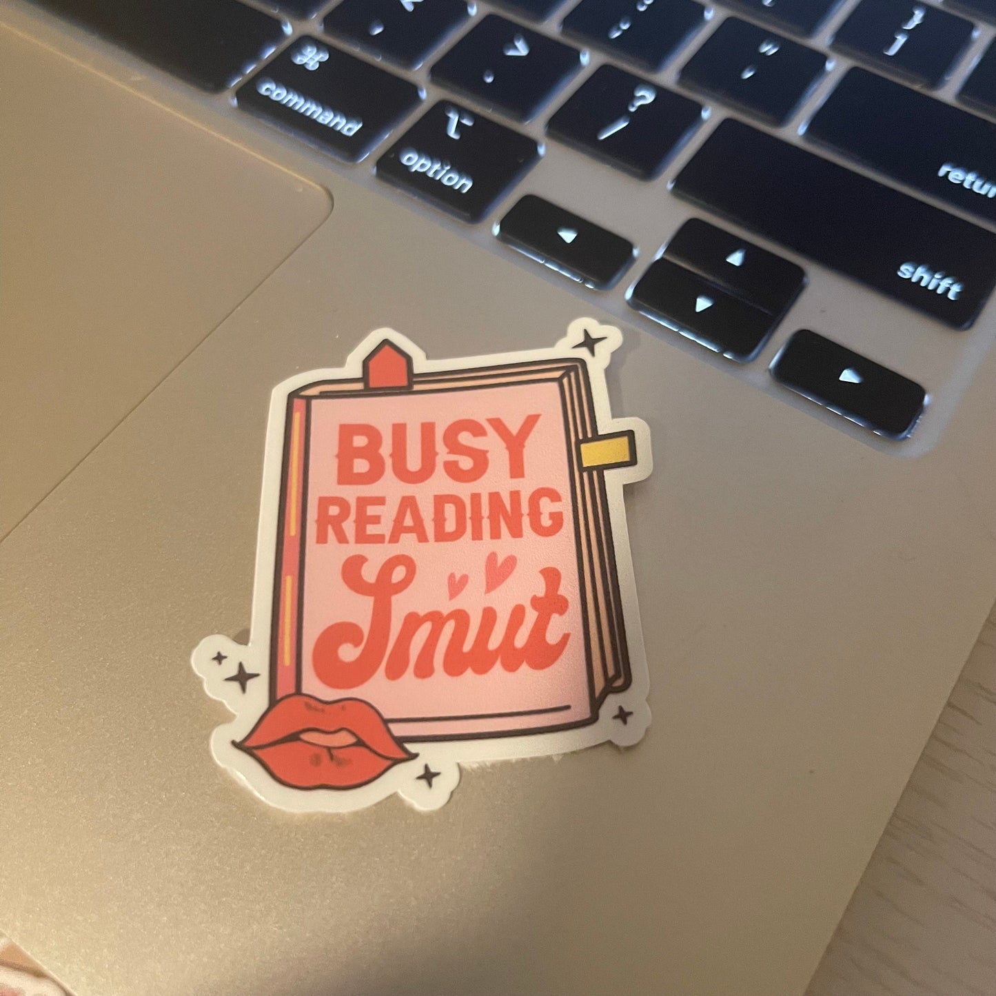 Busy reading smut sticker, book stickers, kindle, laptop, booktok, spicy romance, smut stickers, bookish sticker, dirty books