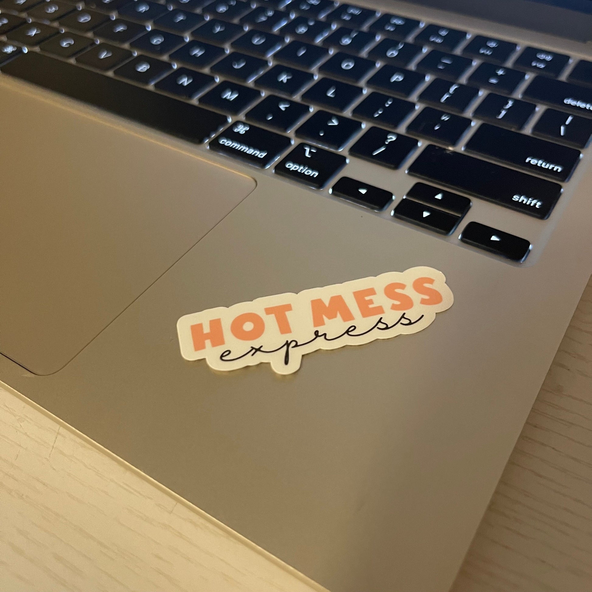 Hot Mess Express sticker, book stickers, kindle, laptop, spicy romance, bookish stickers, decal, water bottle, mom