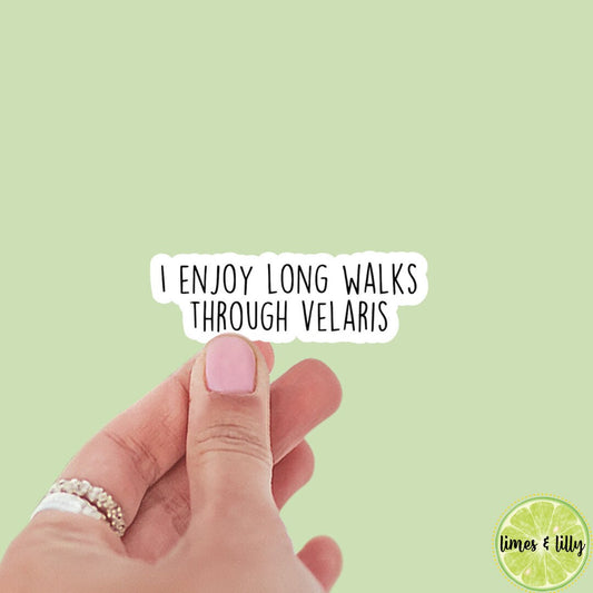 I Enjoy Long Walks Through Velaris Sticker | ACOTAR | Kindle Sticker | Sticker Quote | Water Bottle Sticker | Quotes | Funny Stickers