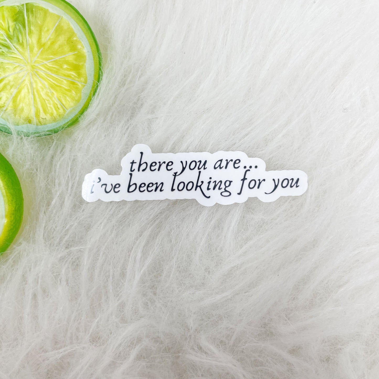There You Are I’ve Been Looking for You Book Vinyl Sticker, Book Inspired, Quote Kindle Stickers, Bookish Stickers Romantasy