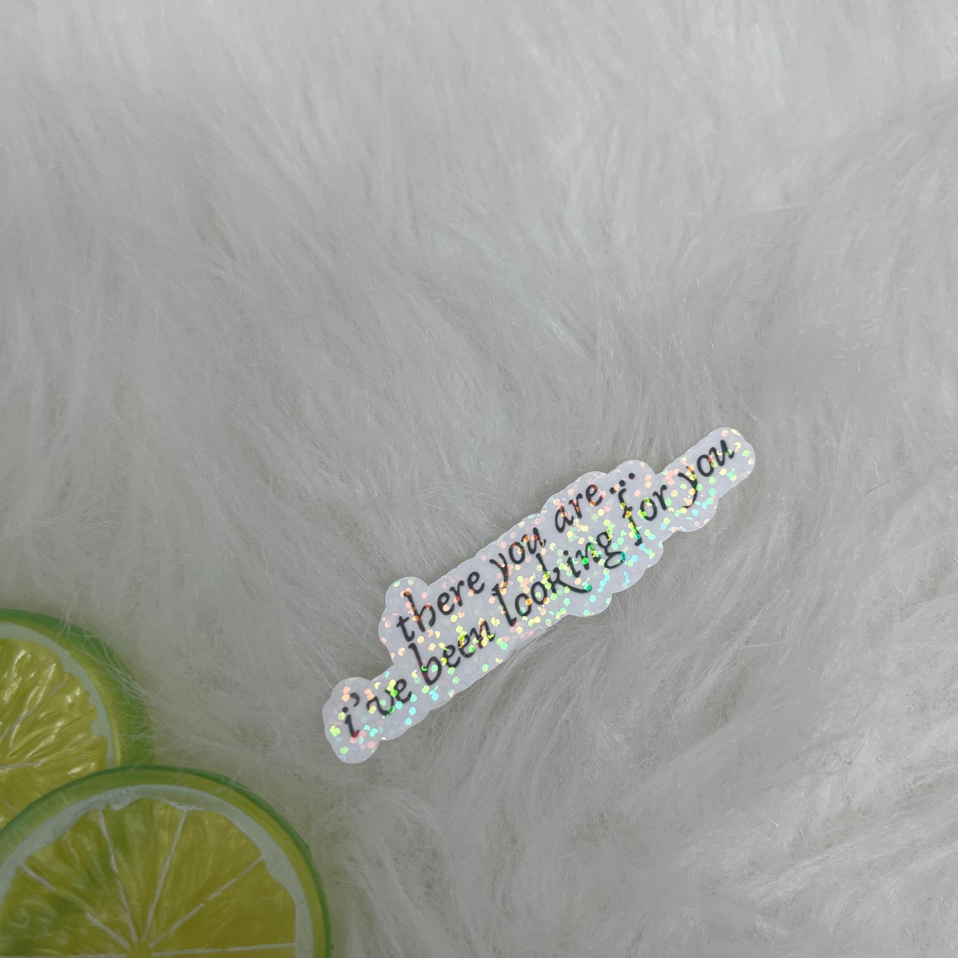 There You Are I’ve Been Looking for You Book Vinyl Sticker, Book Inspired, Quote Kindle Stickers, Bookish Stickers Romantasy