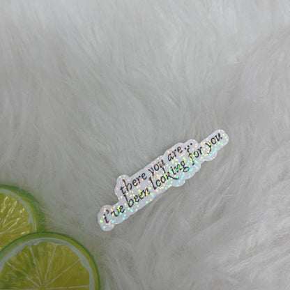 There You Are I’ve Been Looking for You Book Vinyl Sticker, Book Inspired, Quote Kindle Stickers, Bookish Stickers Romantasy