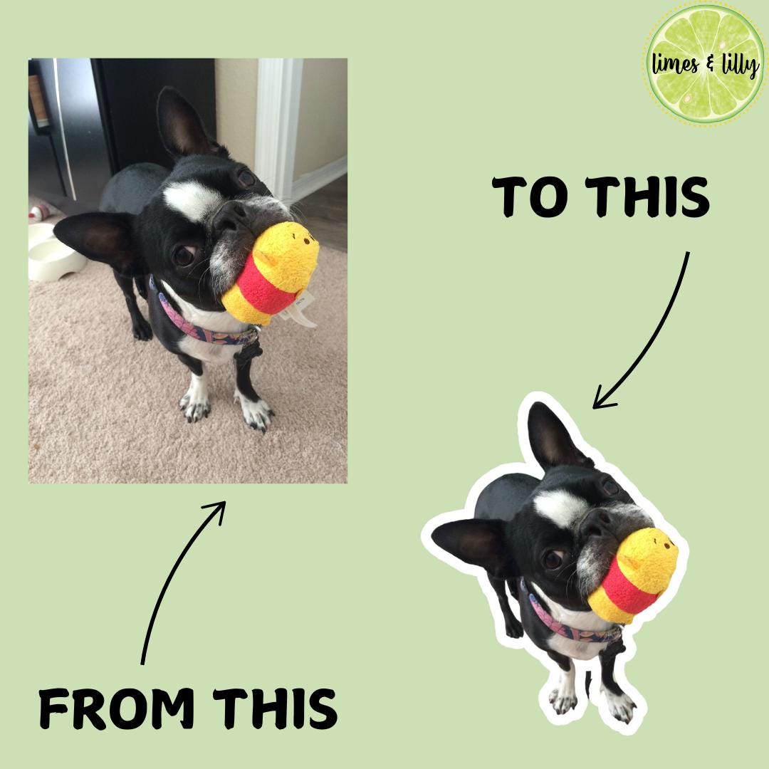 CUSTOM Pet Vinyl Stickers | Dog Stickers | Cat Stickers | Personalized Pet Sticker | Pet Photo | Custom Pet Lover Gift | Die Cut Sticker