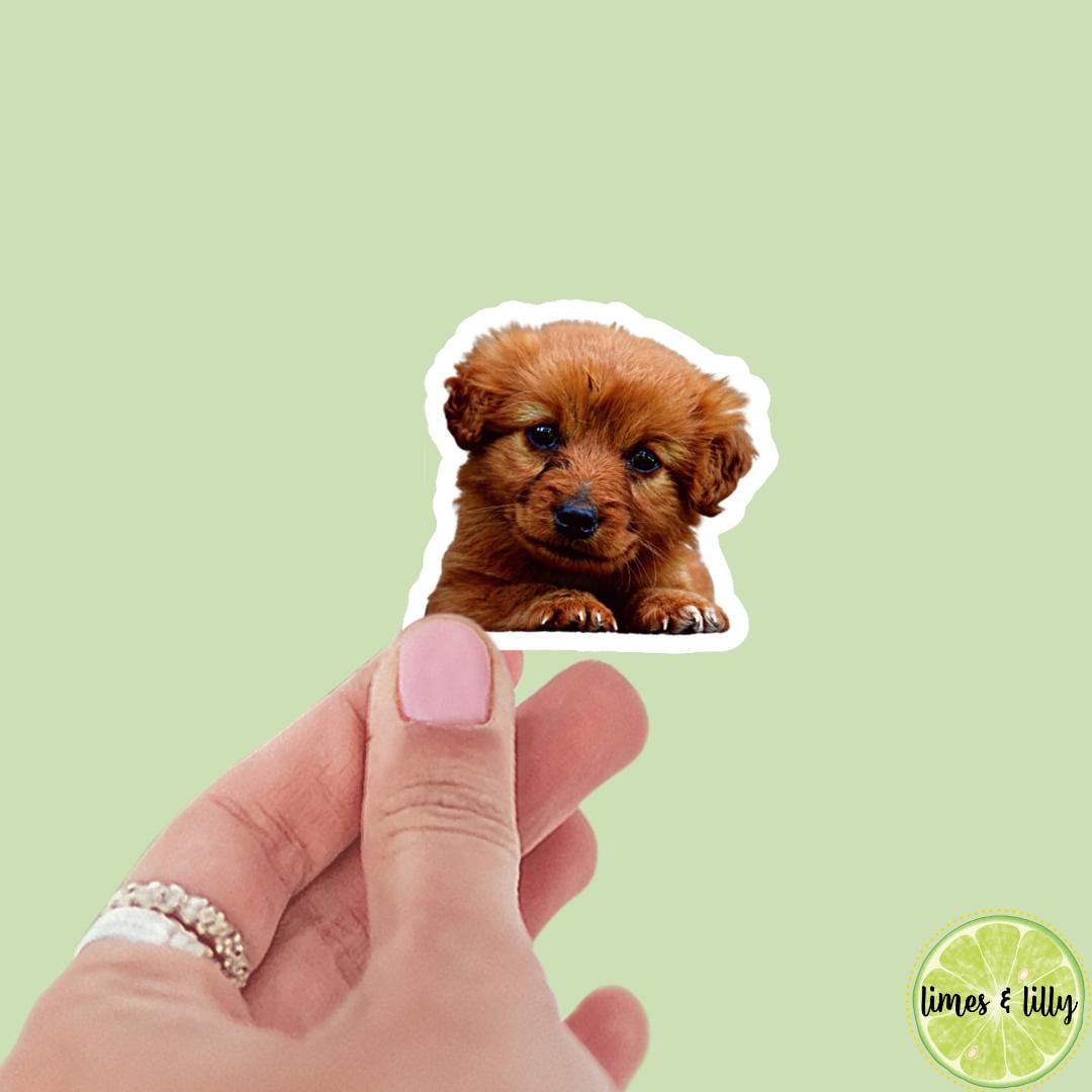 CUSTOM Pet Vinyl Stickers | Dog Stickers | Cat Stickers | Personalized Pet Sticker | Pet Photo | Custom Pet Lover Gift | Die Cut Sticker