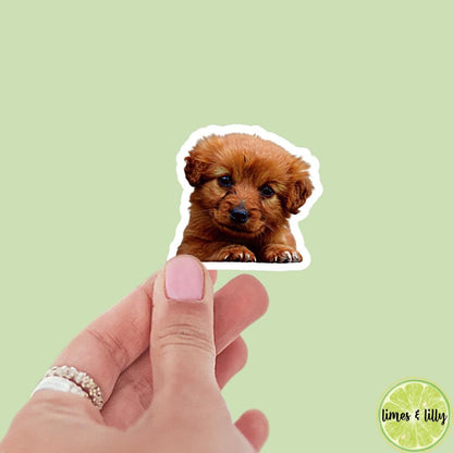 CUSTOM Pet Vinyl Stickers | Dog Stickers | Cat Stickers | Personalized Pet Sticker | Pet Photo | Custom Pet Lover Gift | Die Cut Sticker