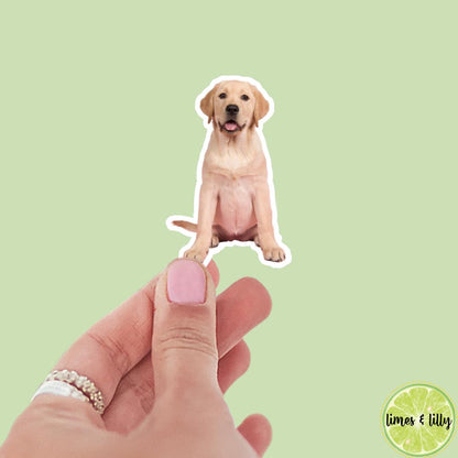CUSTOM Pet Vinyl Stickers | Dog Stickers | Cat Stickers | Personalized Pet Sticker | Pet Photo | Custom Pet Lover Gift | Die Cut Sticker