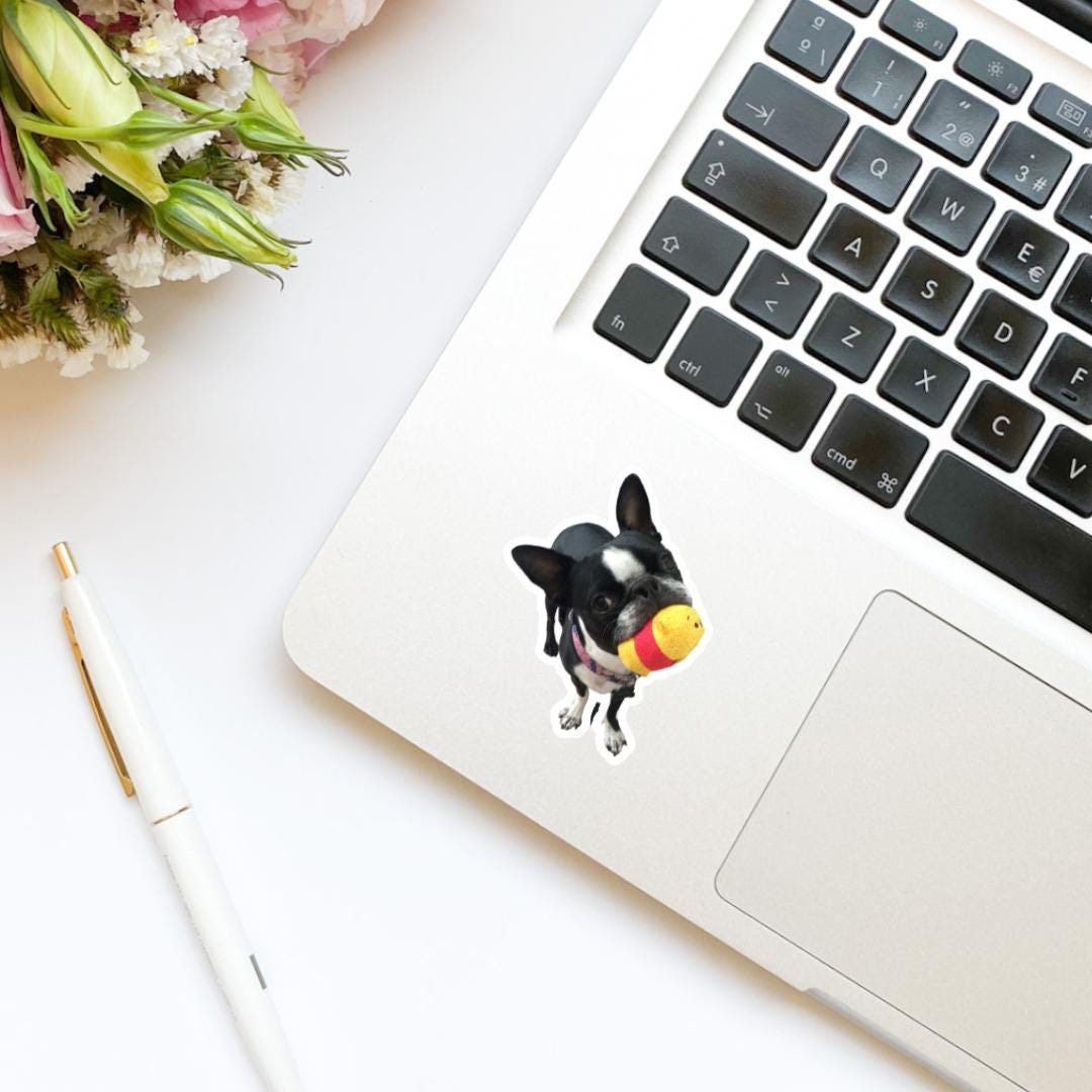 CUSTOM Pet Vinyl Stickers | Dog Stickers | Cat Stickers | Personalized Pet Sticker | Pet Photo | Custom Pet Lover Gift | Die Cut Sticker