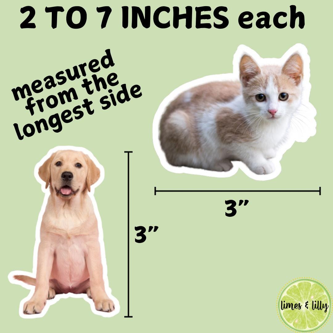 CUSTOM Pet Vinyl Stickers | Dog Stickers | Cat Stickers | Personalized Pet Sticker | Pet Photo | Custom Pet Lover Gift | Die Cut Sticker