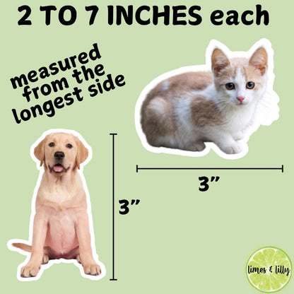 CUSTOM Pet Vinyl Stickers | Dog Stickers | Cat Stickers | Personalized Pet Sticker | Pet Photo | Custom Pet Lover Gift | Die Cut Sticker