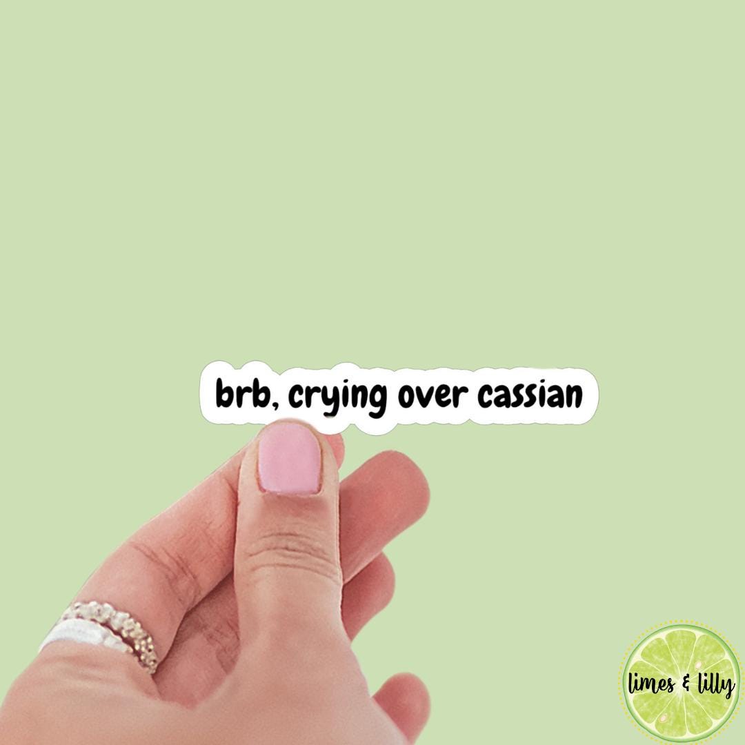 BRB, Crying Over Cassian Book Boyfriend Sticker, ACOTAR, book inspired, bookish stickers, bat boys, decal, romantasy book merch