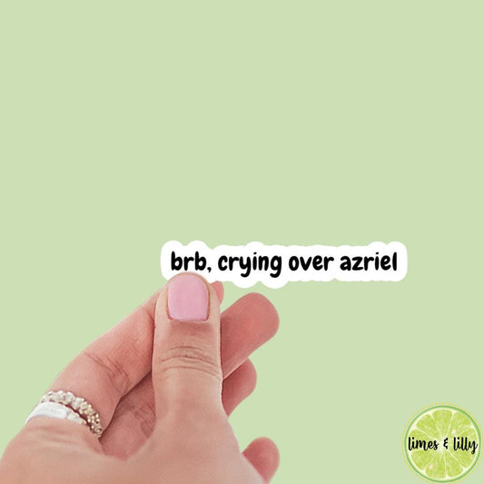 BRB, Crying Over Azriel Book Boyfriend Sticker, ACOTAR, book inspired, bookish stickers, bat boys, decal, romantasy book merch