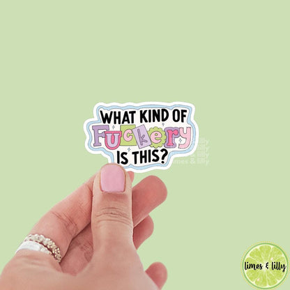 What Kind of Fuckery is This Vinyl Sticker, kindle stickers, mental health sticker, Positivity Sticker, affirmation, sarcastic stickers