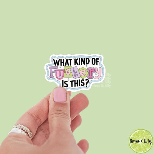 What Kind of Fuckery is This Vinyl Sticker, kindle stickers, mental health sticker, Positivity Sticker, affirmation, sarcastic stickers
