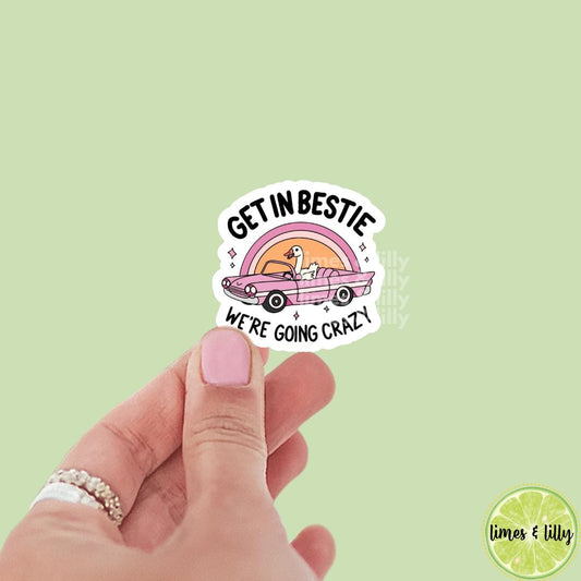 Get In Bestie We’re Going Crazy Silly Goose Driving Car Vinyl Sticker | Trendy Sticker | Kindle Stickers | Mental Health Stickers | Die Cut