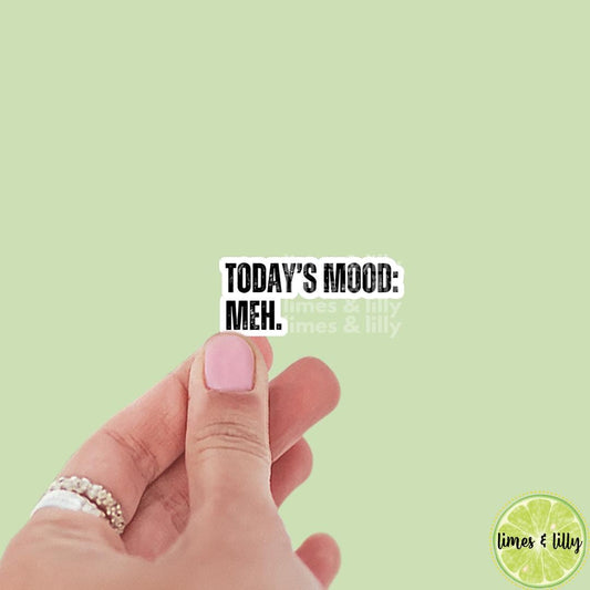 Today's Mood: Meh Vinyl Sticker | Kindle Stickers | Bookish Stickers | Positivity, Funny