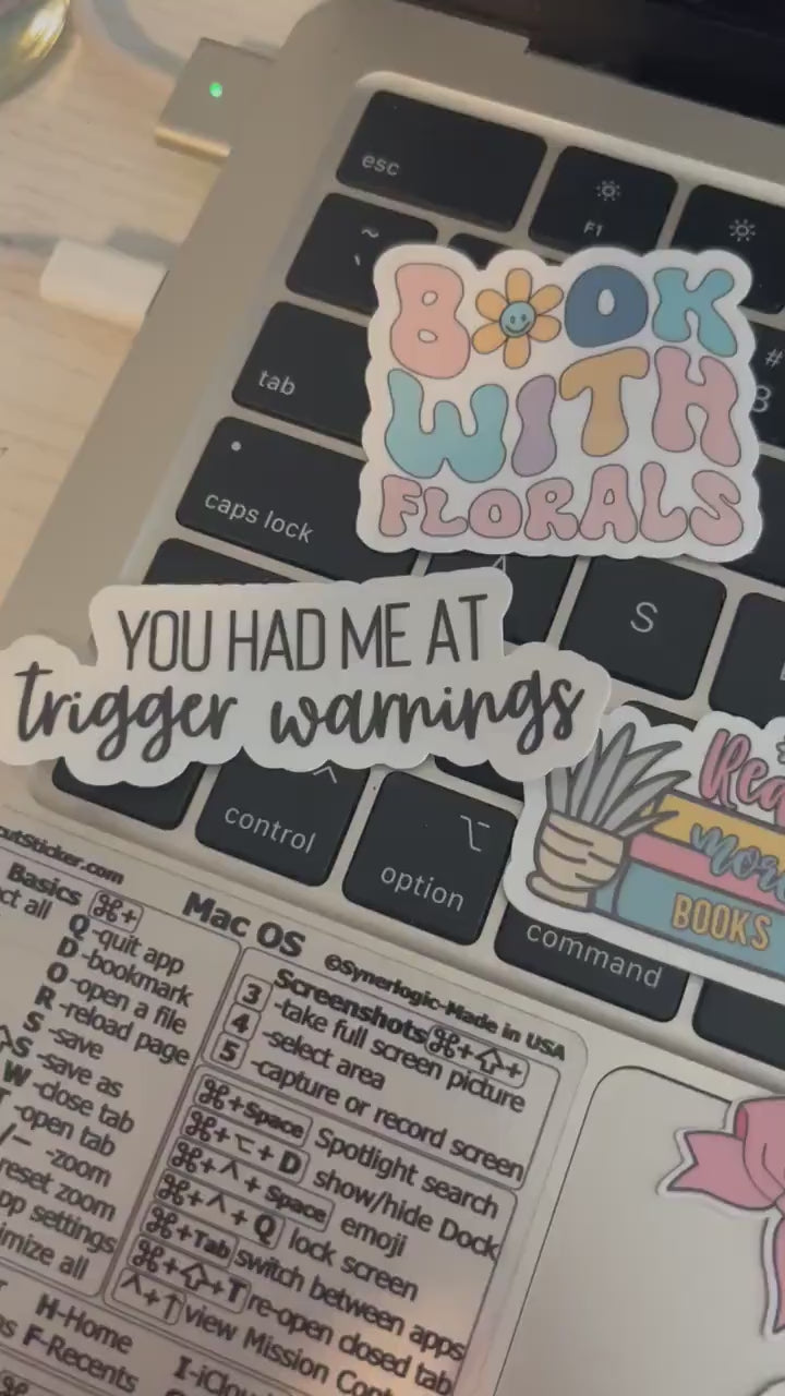 ANY 10 Stickers of your choice, Sticker Pack, Sticker Bundle, Book Stickers, Bookish Stickers, Kindle Stickers, Laptop Decals