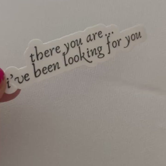 There You Are I’ve Been Looking for You Book Vinyl Sticker, Book Inspired, Quote Kindle Stickers, Bookish Stickers Romantasy