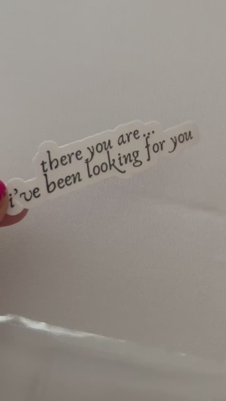 There You Are I’ve Been Looking for You Book Vinyl Sticker, Book Inspired, Quote Kindle Stickers, Bookish Stickers Romantasy